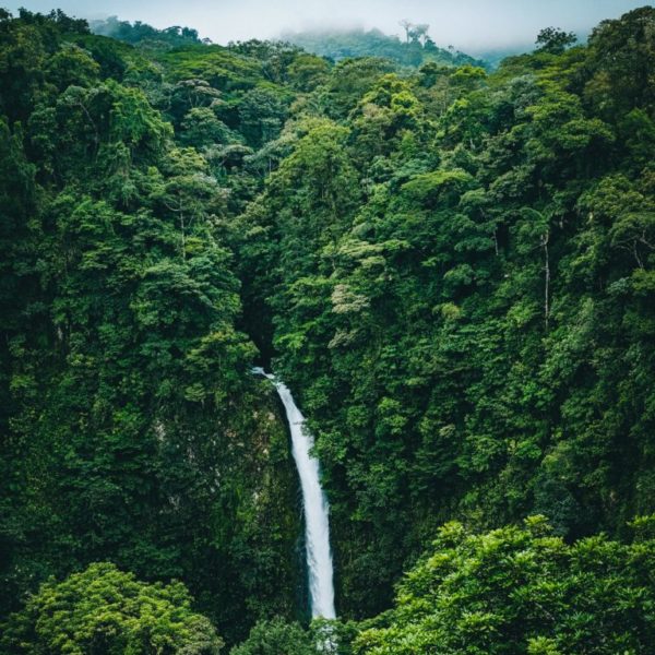 Natural waterfall near Orchid Point Estates